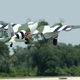 Image for article titled Top Gun 2008: Biggest RC Airplane Competition in the World
